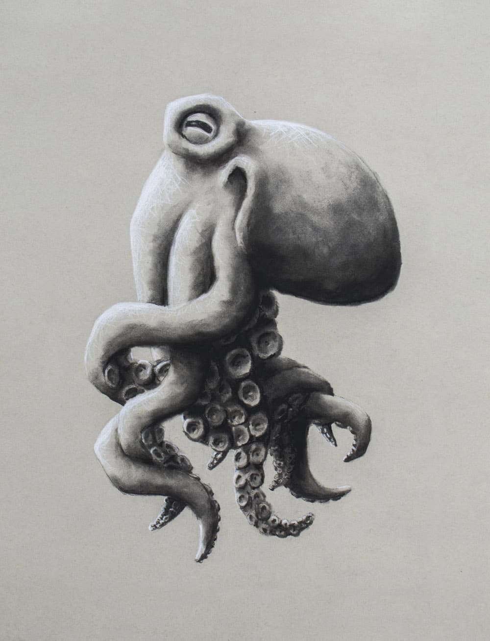 Octopus